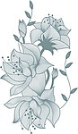 鲜花花朵