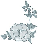 鲜花花朵