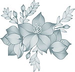 美丽鲜花