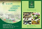 河鲜宣传单