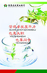 企业文化之管理篇