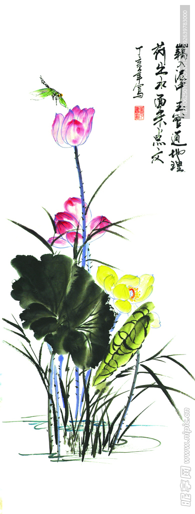 国画 荷花