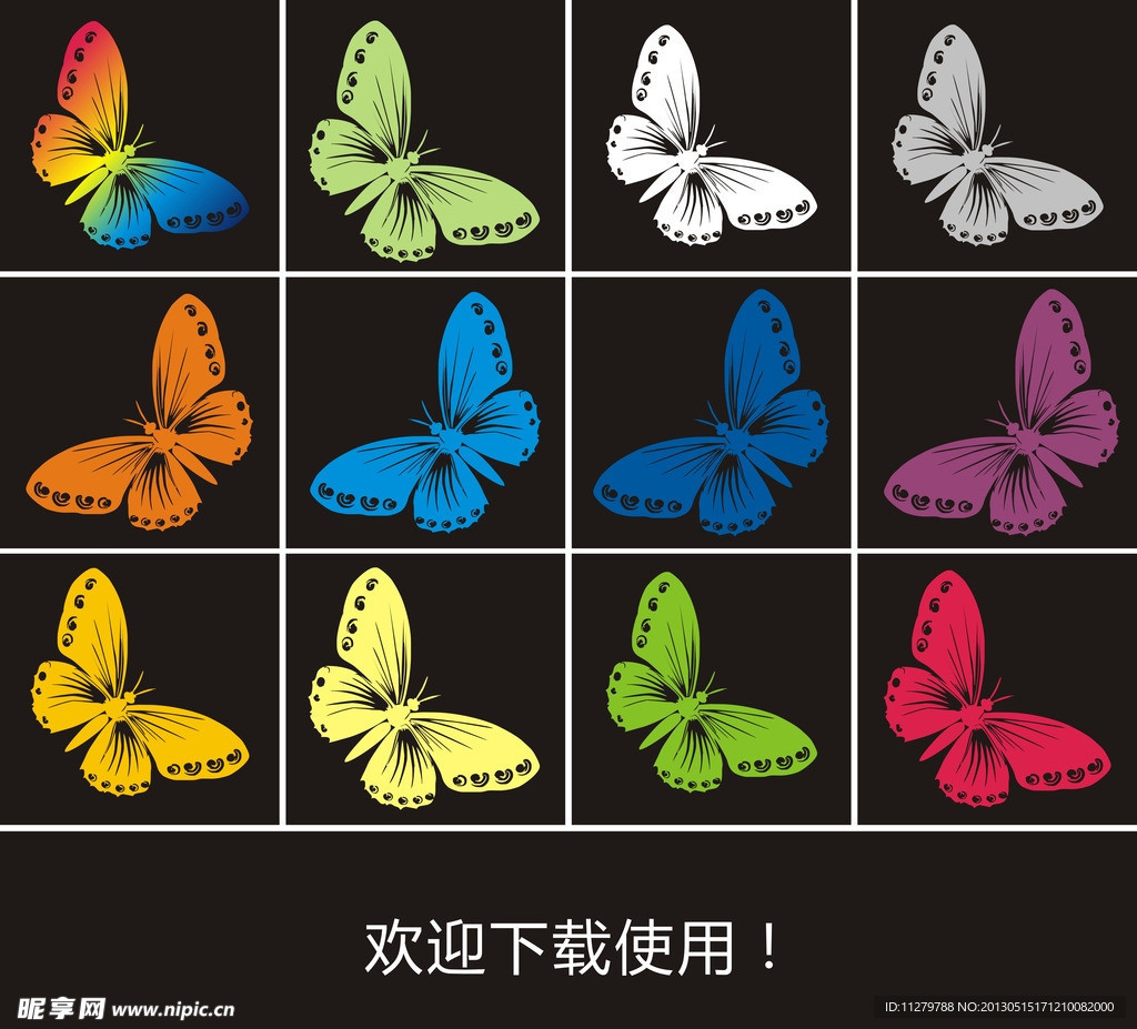 蝴蝶
