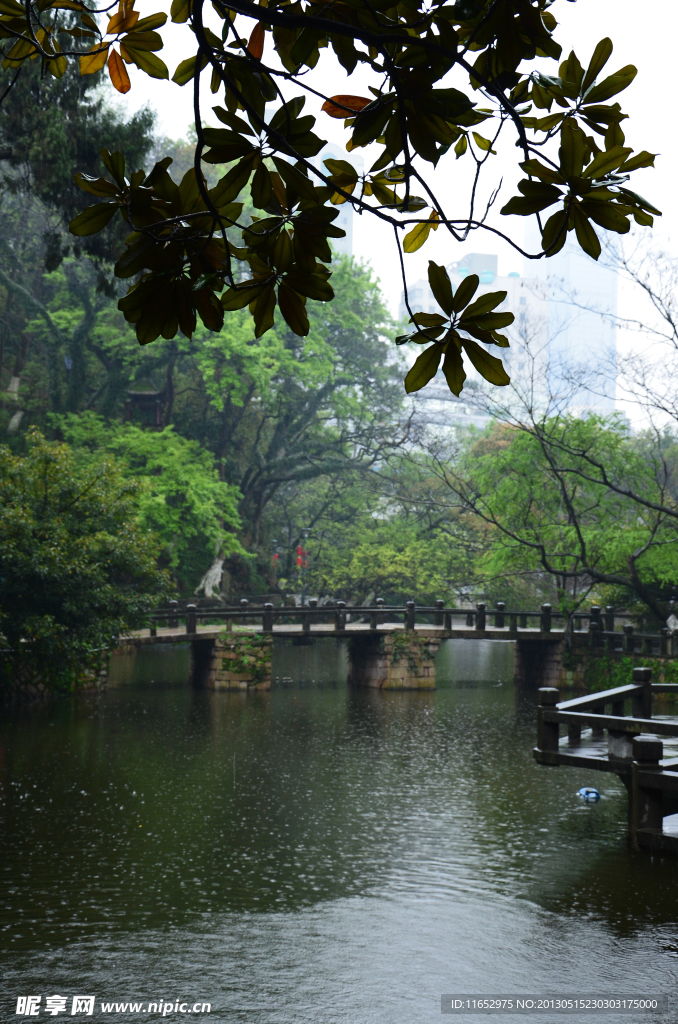 春雨
