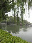 美丽的西子湖畔