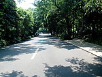 道路