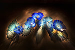 夜光花