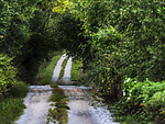 俑长的道路