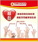 红十字会宣传系列海报