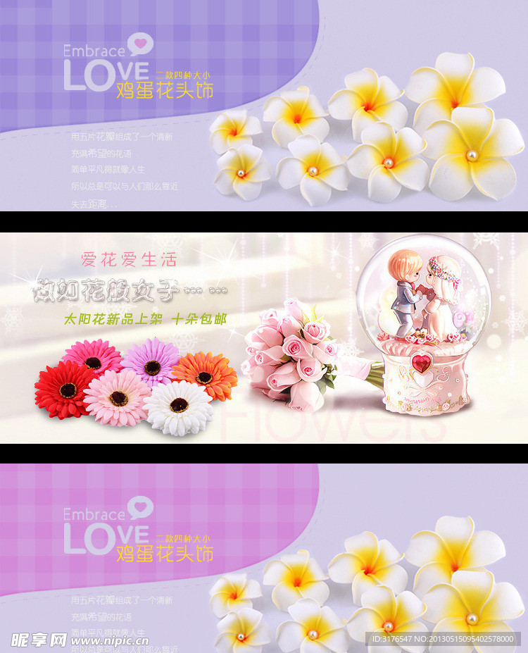 太阳花鸡蛋花