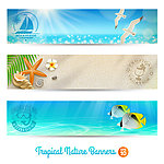 夏天横幅banner
