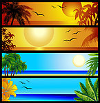 夏天横幅banner