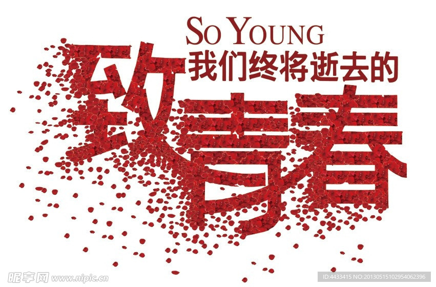 致青春玫瑰花瓣