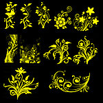 花纹