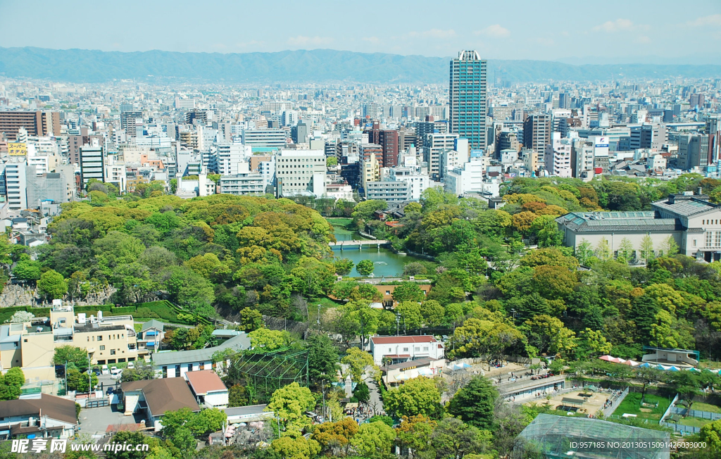 城市绿化