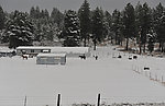 大雪