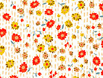 花纹