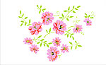 花纹