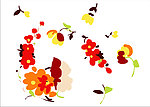 花纹