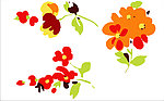花纹