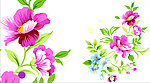 花纹