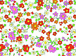 花纹