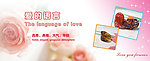 戒指banner