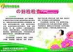 妇检检查宣传板