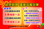 迪赛尼斯