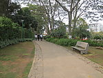 公园小路