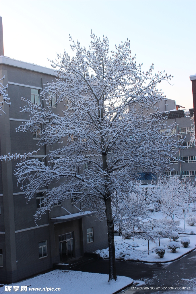 雪景