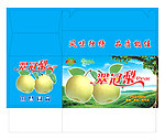 手提翠冠梨设计