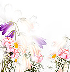 手绘花卉花纹