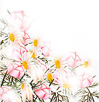 手绘花卉花纹