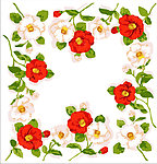 花纹