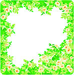 花纹