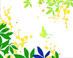 花纹
