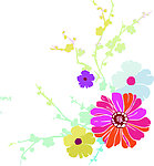 花纹