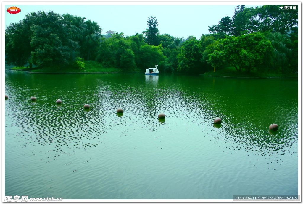 深圳仙湖植物园