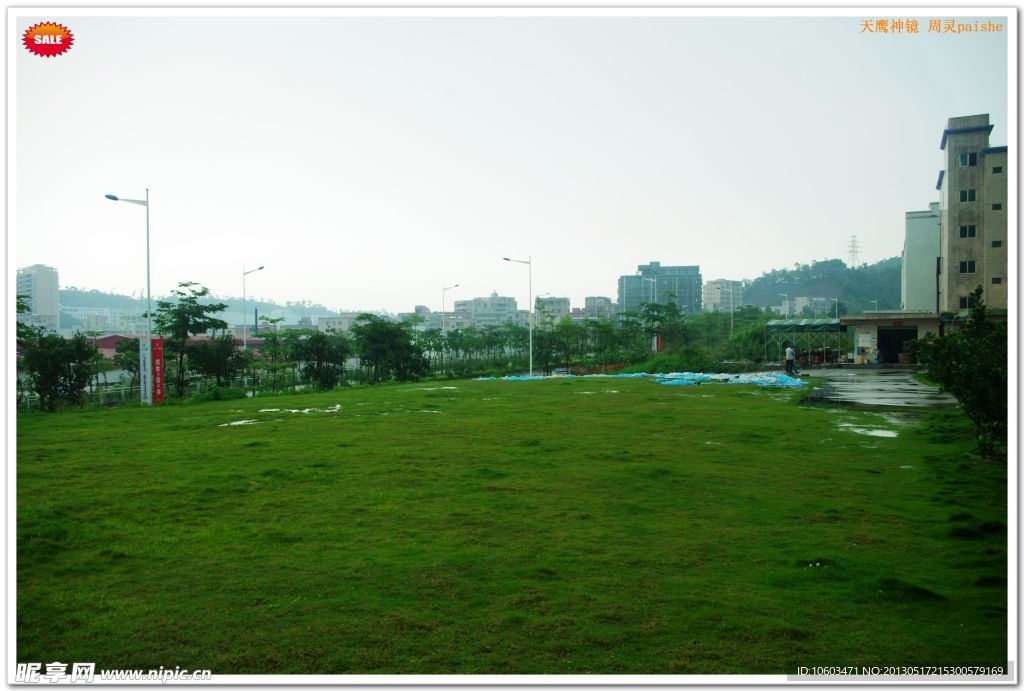 雨后天晴 绿色景观