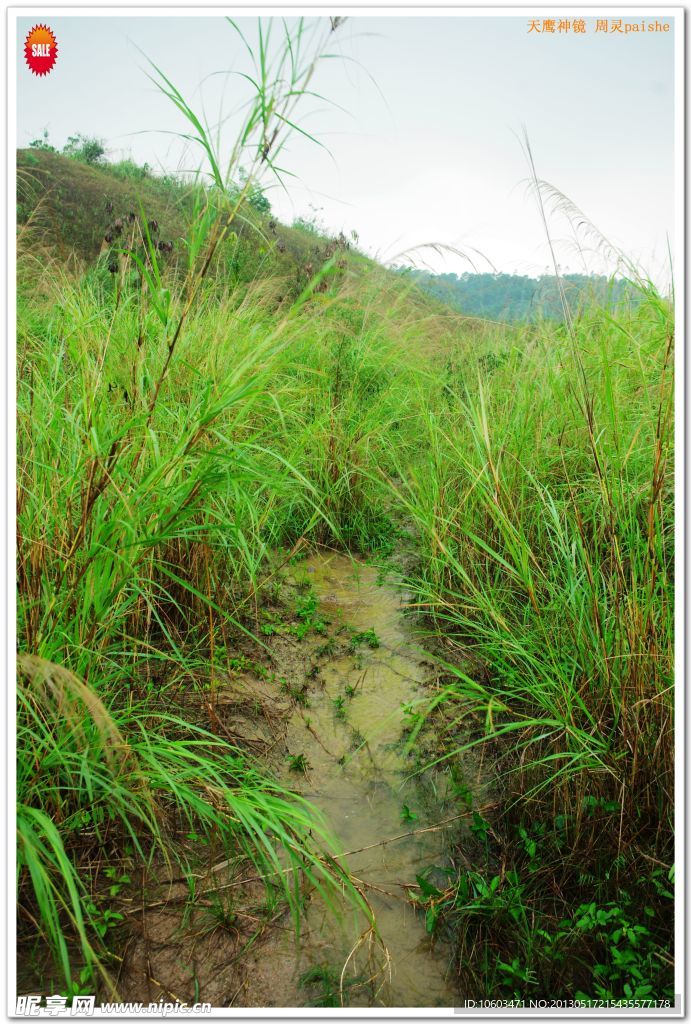 临时的高山流水