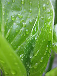 小清新水滴