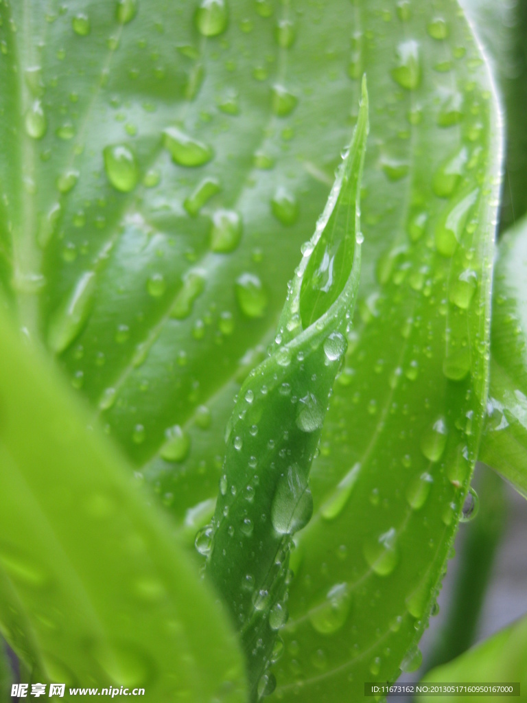 小清新水滴