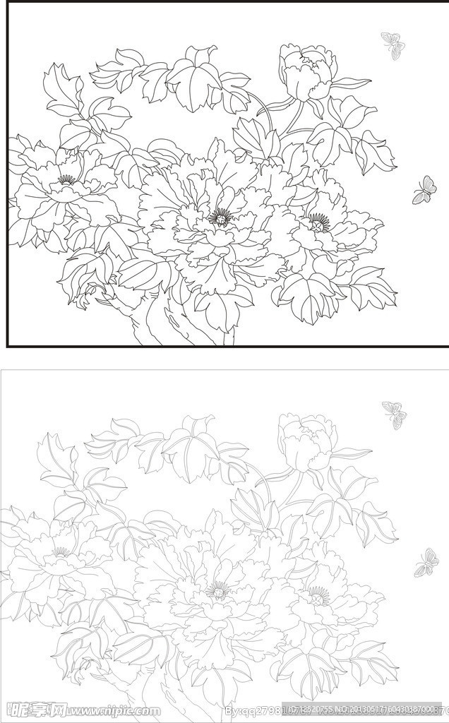 花开富贵