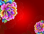 梦幻花
