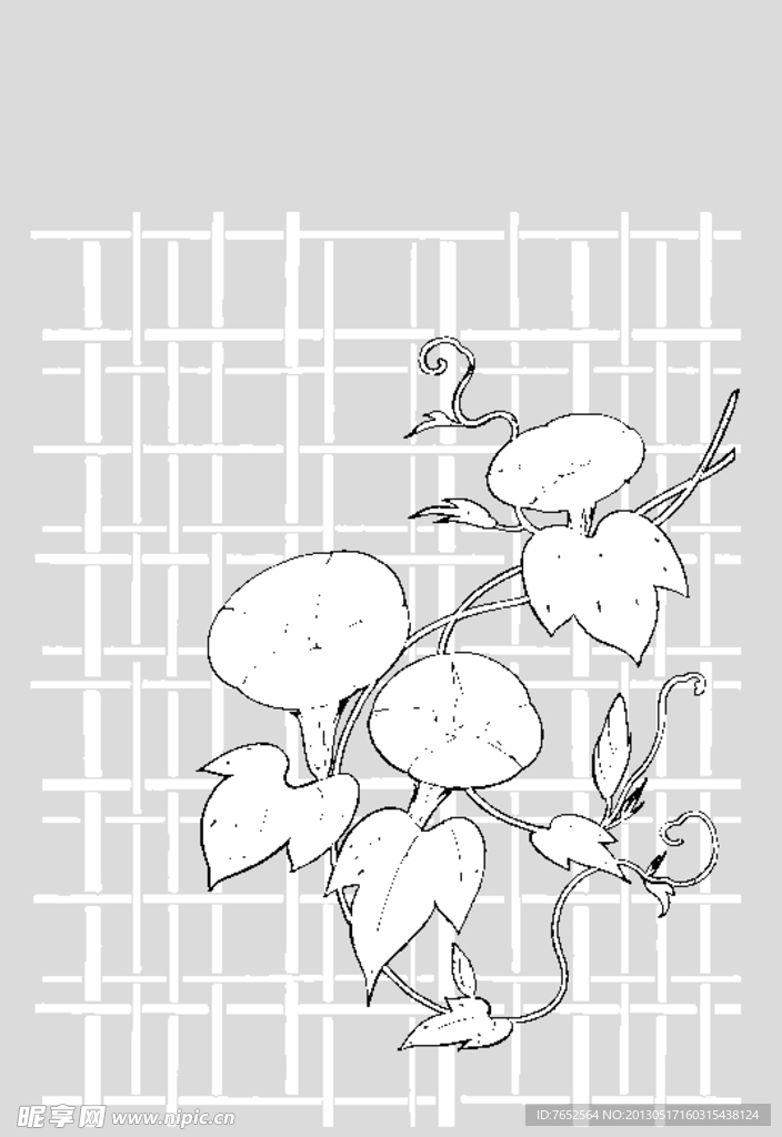 花纹