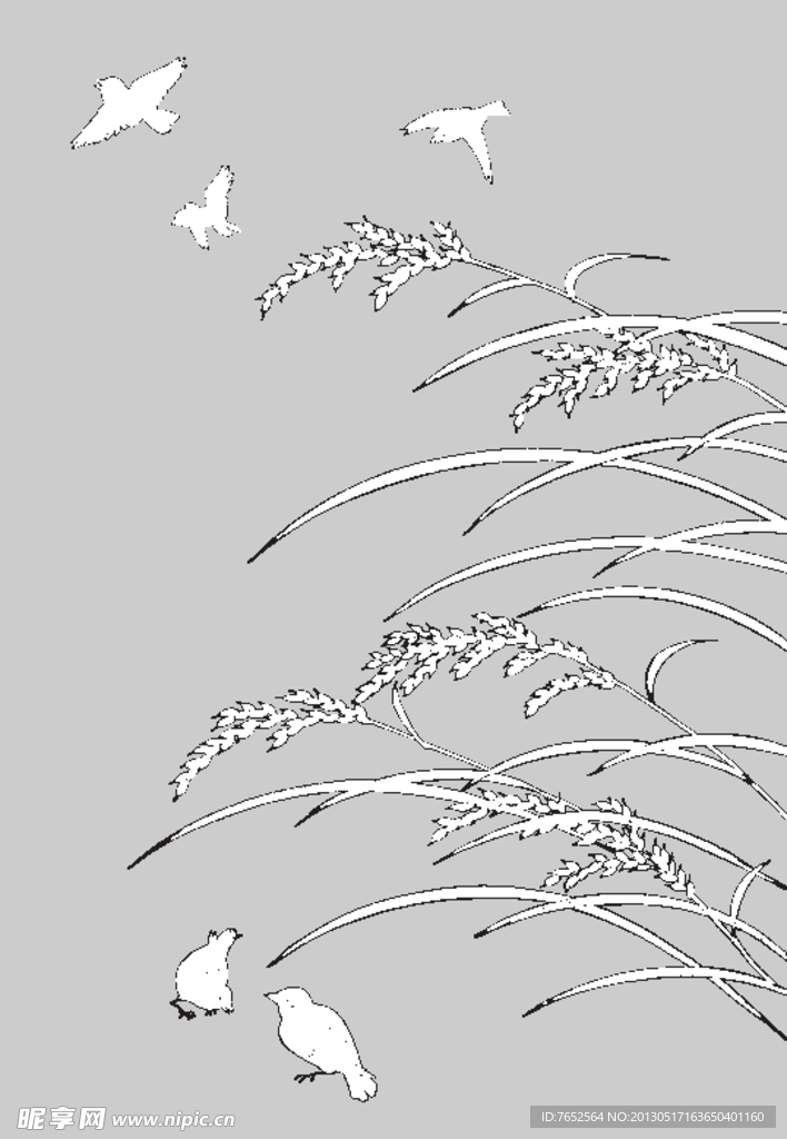 花纹