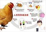 预防禽流感