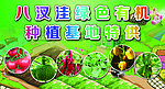 蔬菜种植基地
