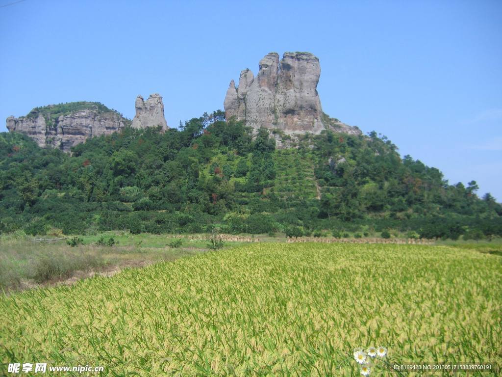 山丘
